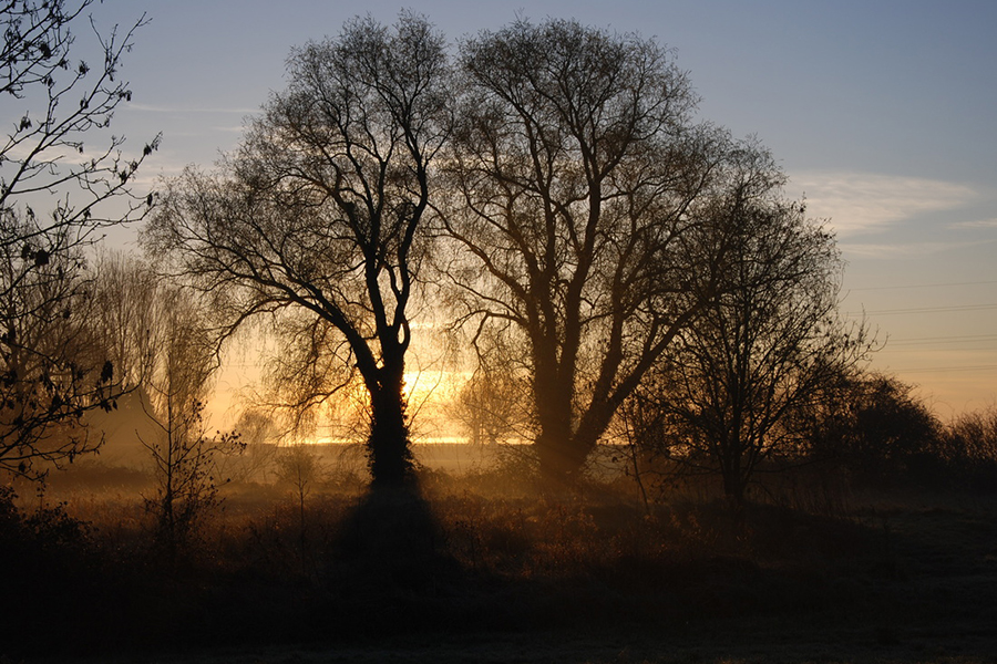 Ilketshall