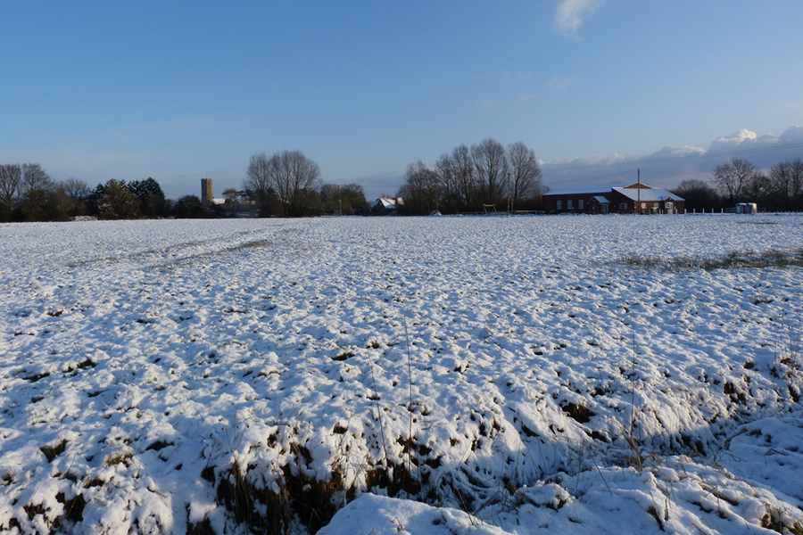 Winter Scene
