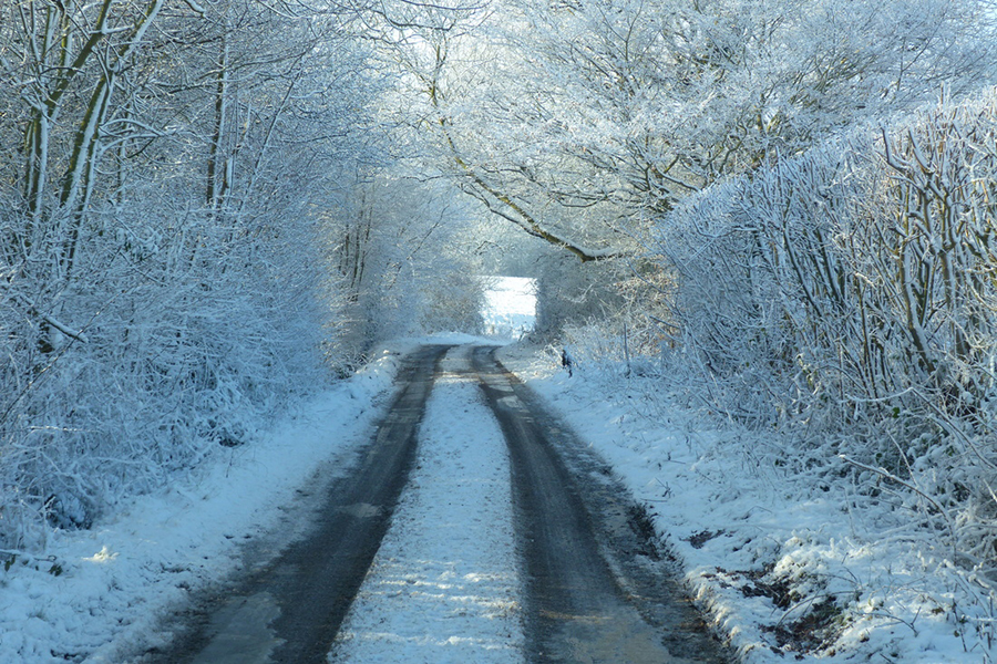 Winter Scene